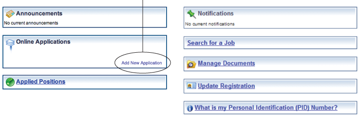 Add New Application button