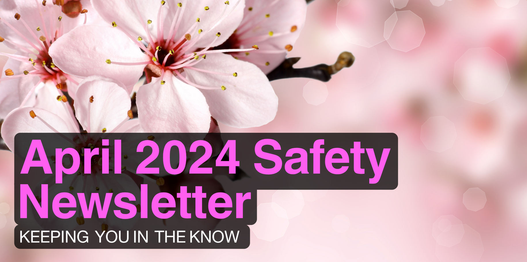 April 2024 School Safety and Security Newsletter