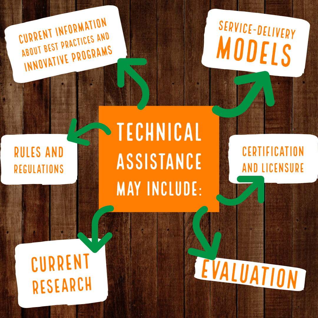 Technical assistance may include current info about best practices, service delivery models, rules and regulations, cert and licensure, current research, evaluation