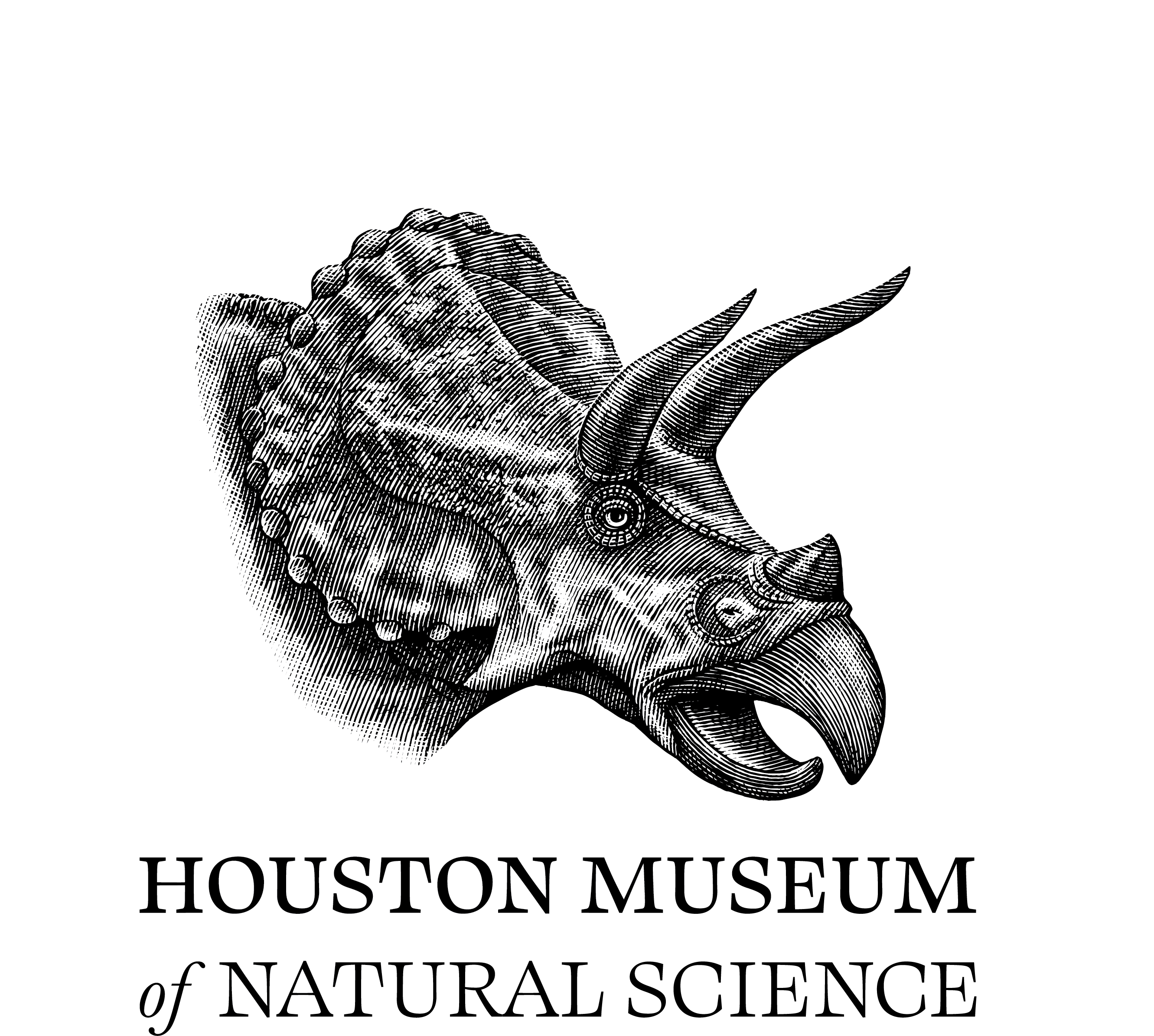 Houston Museum Logo- Triceratops skull